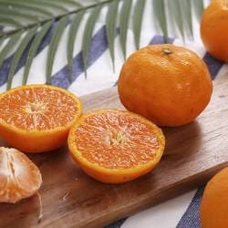 [SSG] [아마트몰] 쓱7클럽]제주 카라향 3kg 15-20과 소과 (16800원/무배)