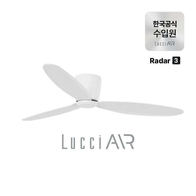 화이트