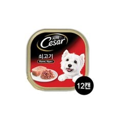 시저 쇠고기 100g 12캔/무료배송