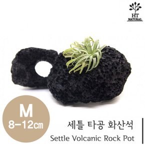 세틀 타공 화산석 M (8~12cm)