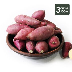 [해남직송] 강미자님의 달콤한 햇 꿀고구마(특) 3kg