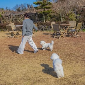 제주 아우아우 애견카페 이용권