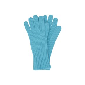 Ribbed Glove (Blue)_D7HAW24002BUX