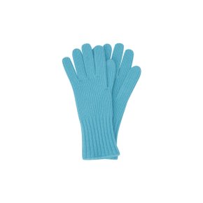 Ribbed Glove (Blue)_D7HAW24002BUX