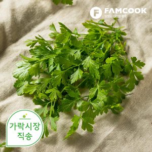 팸쿡 가락시장직송 이태리파슬리 1박스 1.8kg