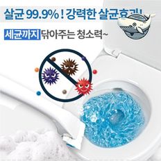 오너클랜 청결한 화장실 변기세정제 지속력 좋은