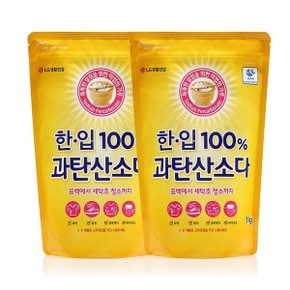 한입 100% 과탄산소다 1KG 2개