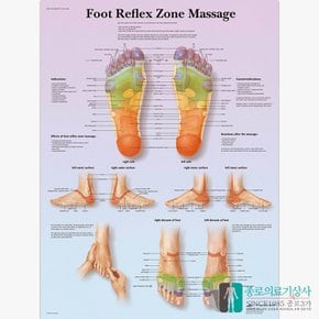 3B Scientific 발반사 마사지 해부도 차트 VR1810 Foot Reflex 병원액자