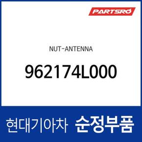 너트-안테나 (962174L000)  레이, 올뉴 카렌스, 더뉴 카렌스, 올뉴 투싼TL, 레이 전기차 EV, 아이오닉 하이브리드, 아이오닉 전기차, 엑센트, 올뉴 모닝, 더뉴 모닝