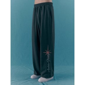 Twinkle Straight 2-Way pants AP802 (Dark-Gray)