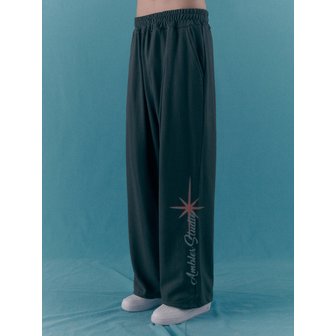 엠블러 Twinkle Straight 2-Way pants AP802 (Dark-Gray)