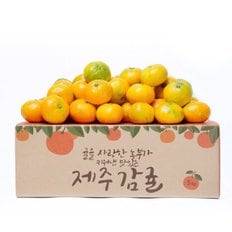 제주 햇 감귤 소과 4.5kg