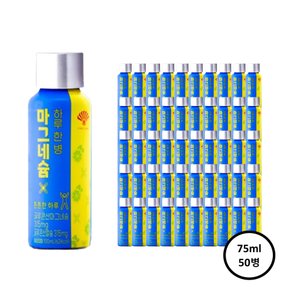 하루한병 마그네슘 100ml x 50개