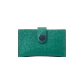 accordion wallet green (아코디언 지갑 그린)