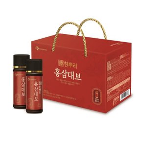 한뿌리 홍삼대보 10병/1BOX