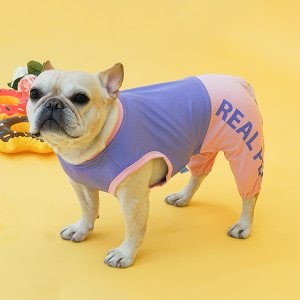 REAL PET 강아지 컬러팝 올인원 래쉬가드 수영복 2color (S~XL)