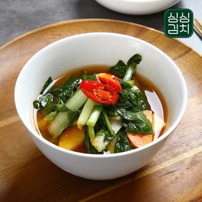 [영혼을달래주는]한입에 반한 열무물김치 1kg