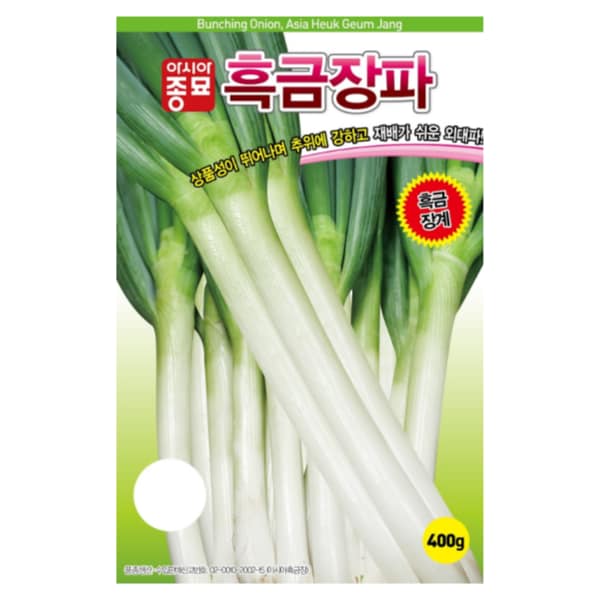 확대된 대표 상품이미지1