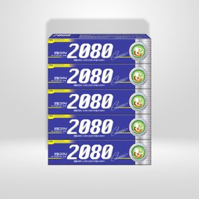 2080 치약 170g 5개입