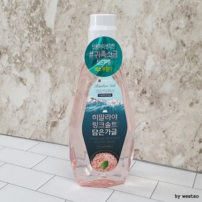 히말라야 실용적인 핑크솔트 가글 아이스 760ml