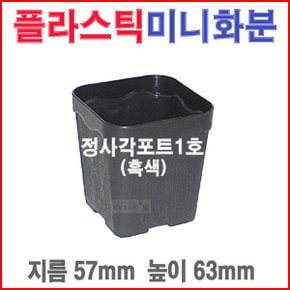 정사각포트1호(흑색)/미니소형/블루베리/플라스틱화분