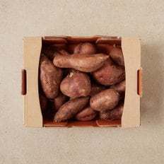 해뜨온 호박 고구마 (2kg)