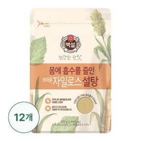 [G] 백설 브라운 자일로스설탕 500g X12개