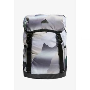 4067681 Adidas XPLORER - Rucksack multicolorsemi green spark black 68116010