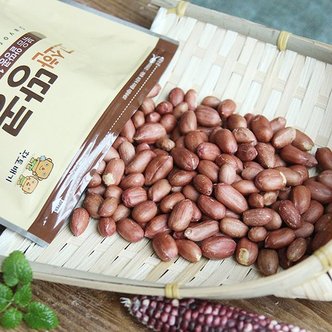 맛군 농협선별 23년 전북 고창 황토밭 햇 생알땅콩 1kg