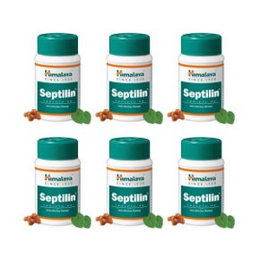 셉틸린 Septilin 60정 X 6세트