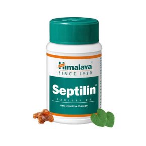 셉틸린 Septilin 60정 X 6세트
