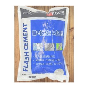 철물팩토리 빨리굳는시멘트 1kg 소용량 백색 회색 시멘트몰탈 2개입