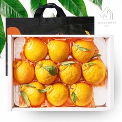 한라봉 2.5kg 중소과