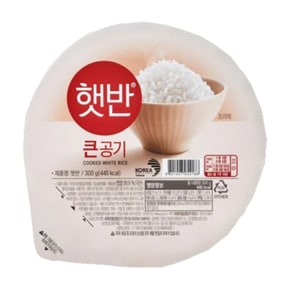 CJ 햇반 큰공기 300g X 36개