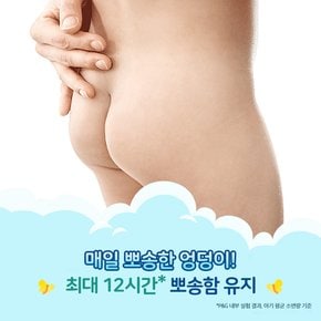 2024 베이비드라이 팬티형 기저귀 3,4,5,6단계 1박스 모음전