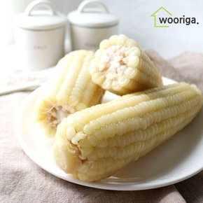 탱글탱글 백찰 냉동 삶은 찰옥수수 32개 14~16cm 내외