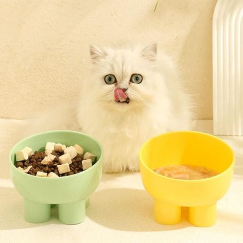 이미지1