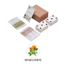 [공식] LG 틔운 미니용 씨앗키트 패키지 LPM15 (메리골드 주황색)