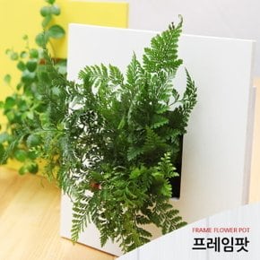 예쁜 벽걸이 액자화분 프레임팟 스퀘어와 하트  스타배송으로 빠르게