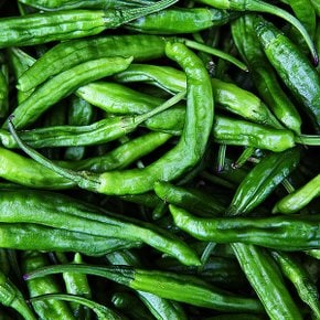 국내산 싱싱한 꽈리고추 600g