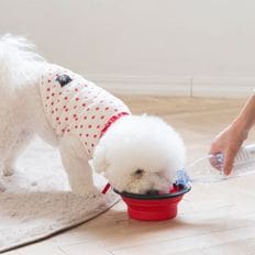 휴대용 강아지 고양이 식기 스몰