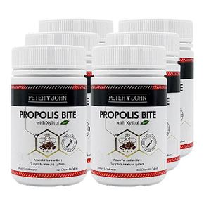 프로폴리스 원액 플라보노이드 리퀴드 500mg 365정 뉴질랜드 피터앤존 6개