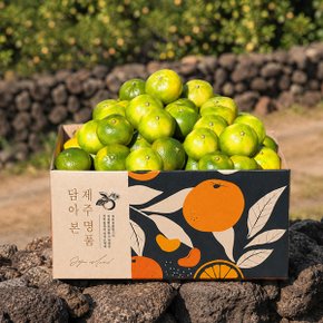 [예약/9월18일 순차출고][인귤]제주 햇감귤 중대과 3kg