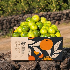 [예약/9월18일 순차출고][인귤]제주 햇감귤 중대과 3kg