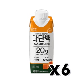 빙그레 더단백 카라멜 멸균팩 프로틴음료 250ml x 6개