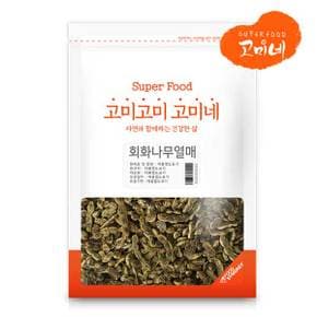 회화나무열매 500g /1kg 괴곽