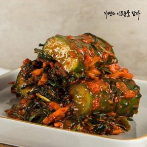 전라도 빛고을 오이소박이 5kg