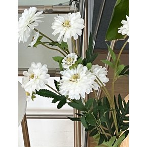 백일홍 가지 조화