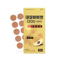 대일 빠삐방 1300 자기발생기 자석파스 10매x5갑