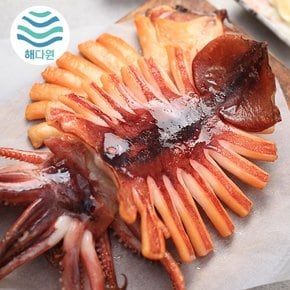 [국내산]해를품은 반건조오징어 소5미(300g)